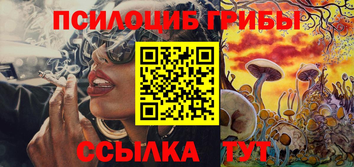 Когалым  Галлюциногенные грибы Psilocybine cubensis  Вход с VPN 