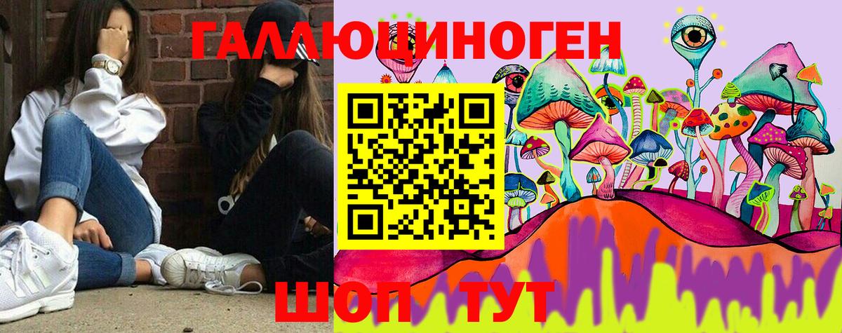 Псилоцибиновые грибы Psilocybe Когалым